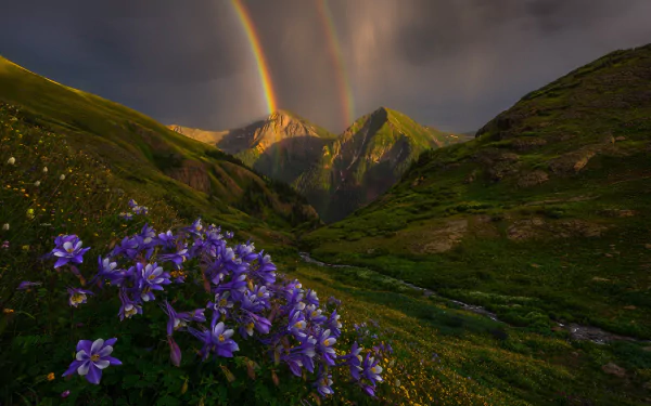 nature rainbow HD Desktop Wallpaper | Background Image