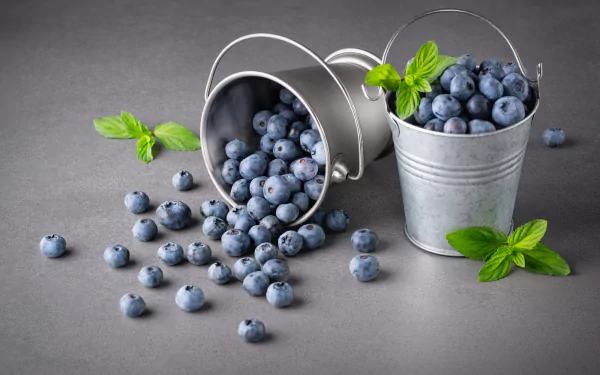 food blueberry HD Desktop Wallpaper | Background Image
