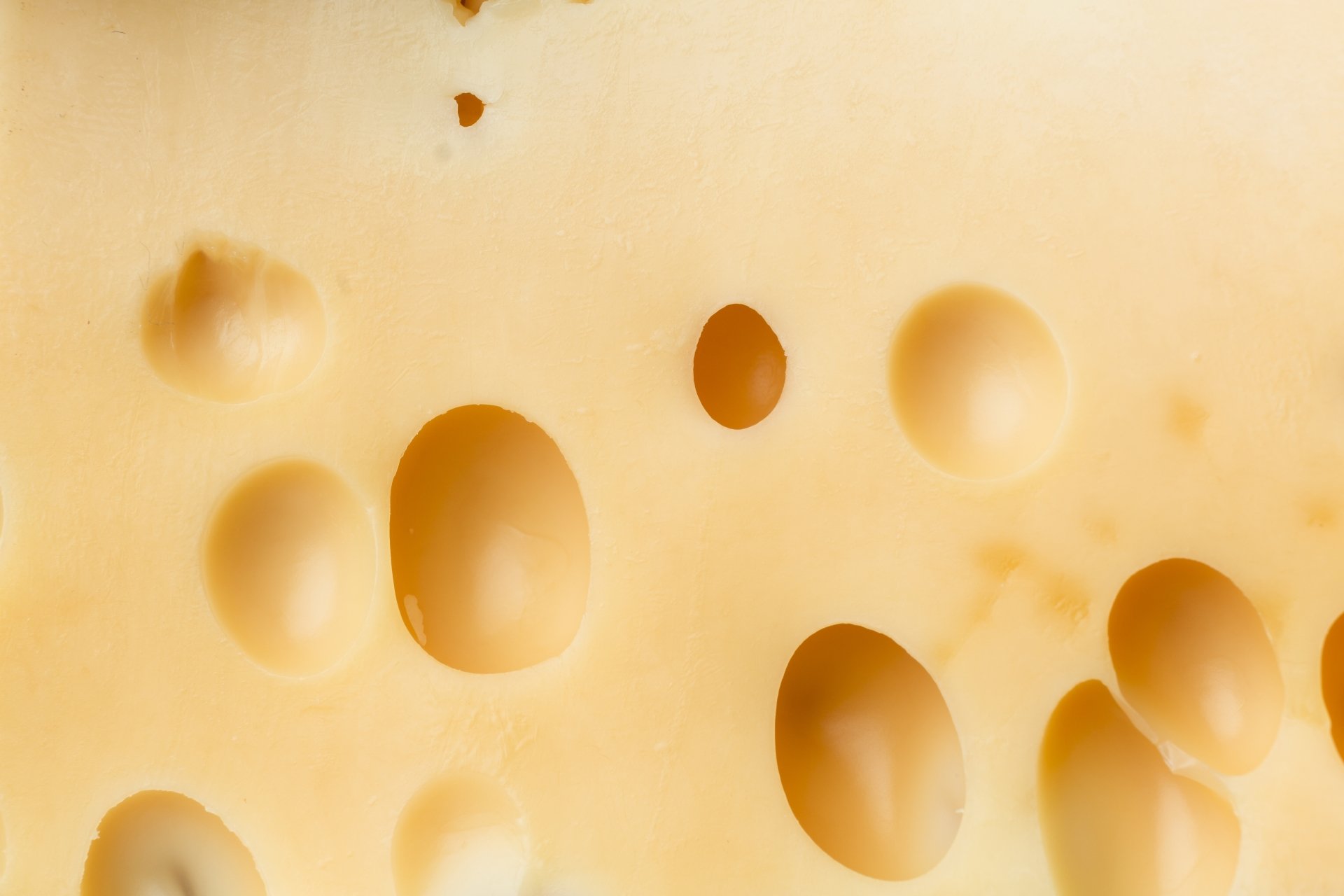 Download Food Cheese 4k Ultra HD Wallpaper