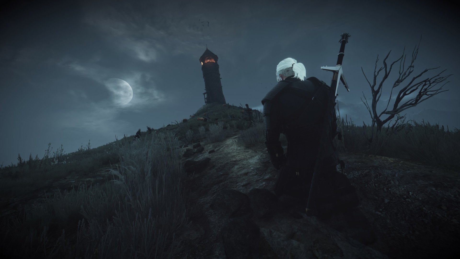 Download Video Game The Witcher 3 Wild Hunt HD Wallpaper by Quinto