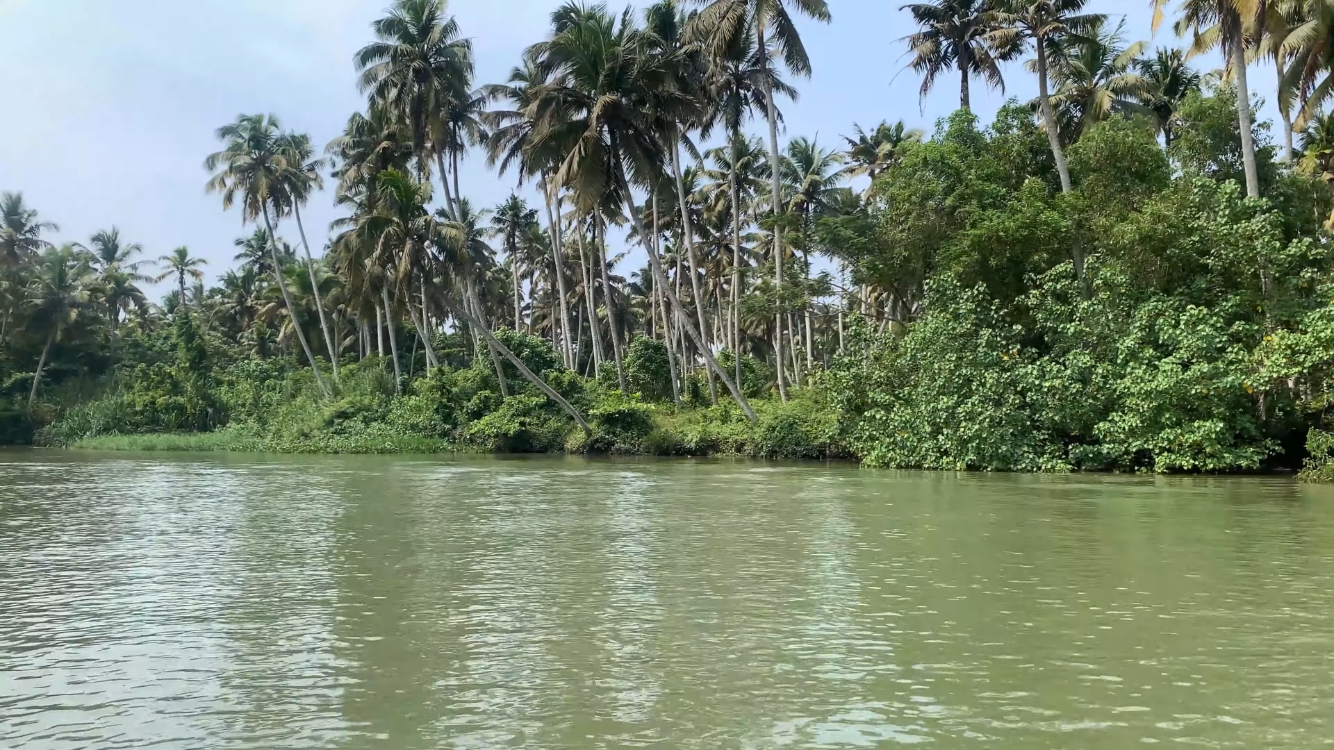 Trivandrum Backwaters by jethiya