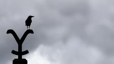 TV Show Yellowstone (TV Show) HD Desktop Wallpaper | Background Image