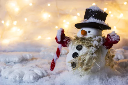 artistic snowman HD Desktop Wallpaper | Background Image