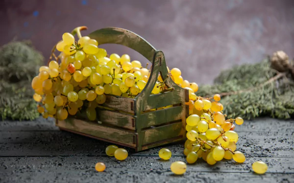 food grapes HD Desktop Wallpaper | Background Image