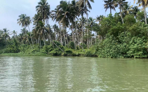  Trivandrum Backwaters