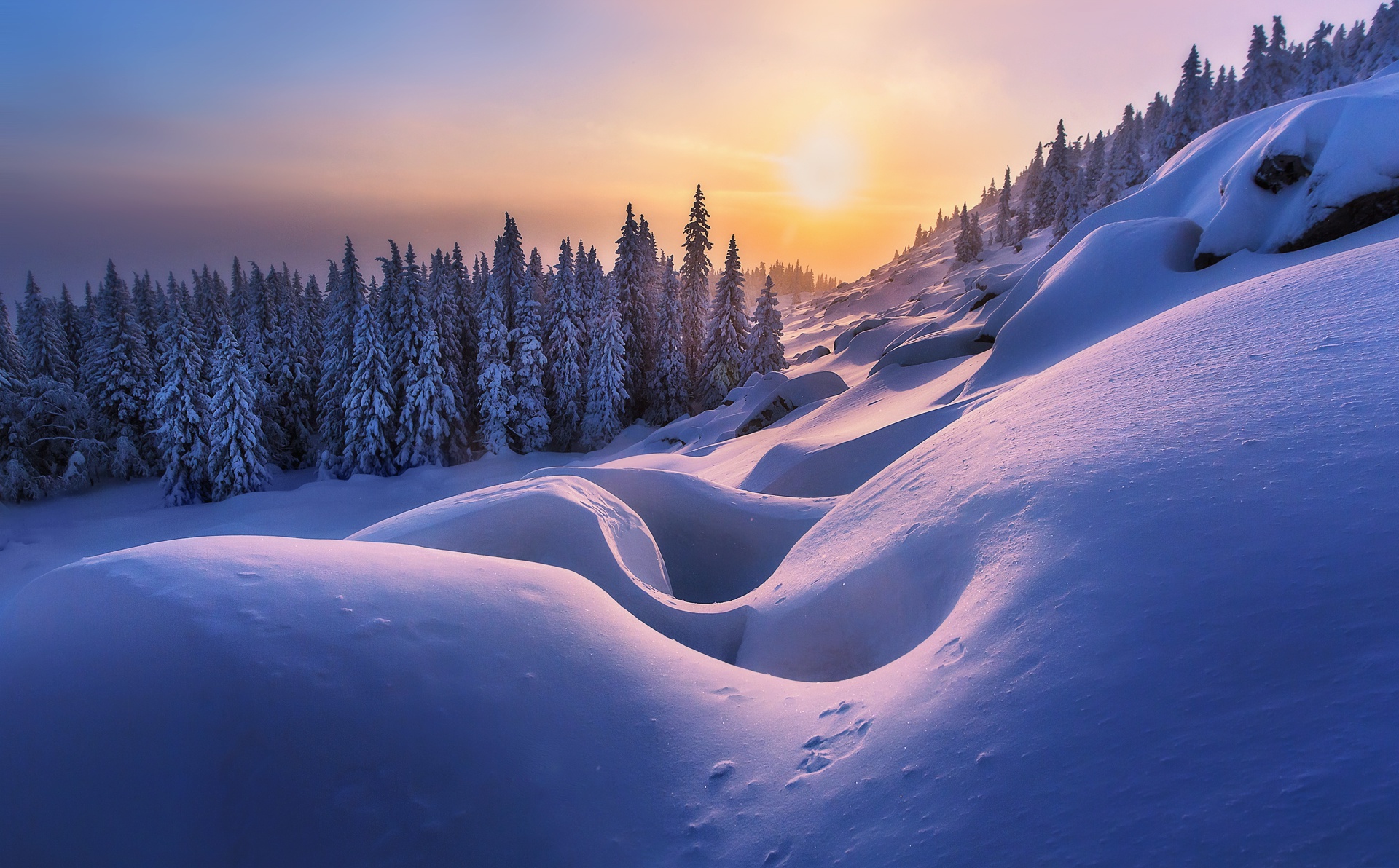 Winter Landscape Pictures Stunning  Download Free Images on Unsplash