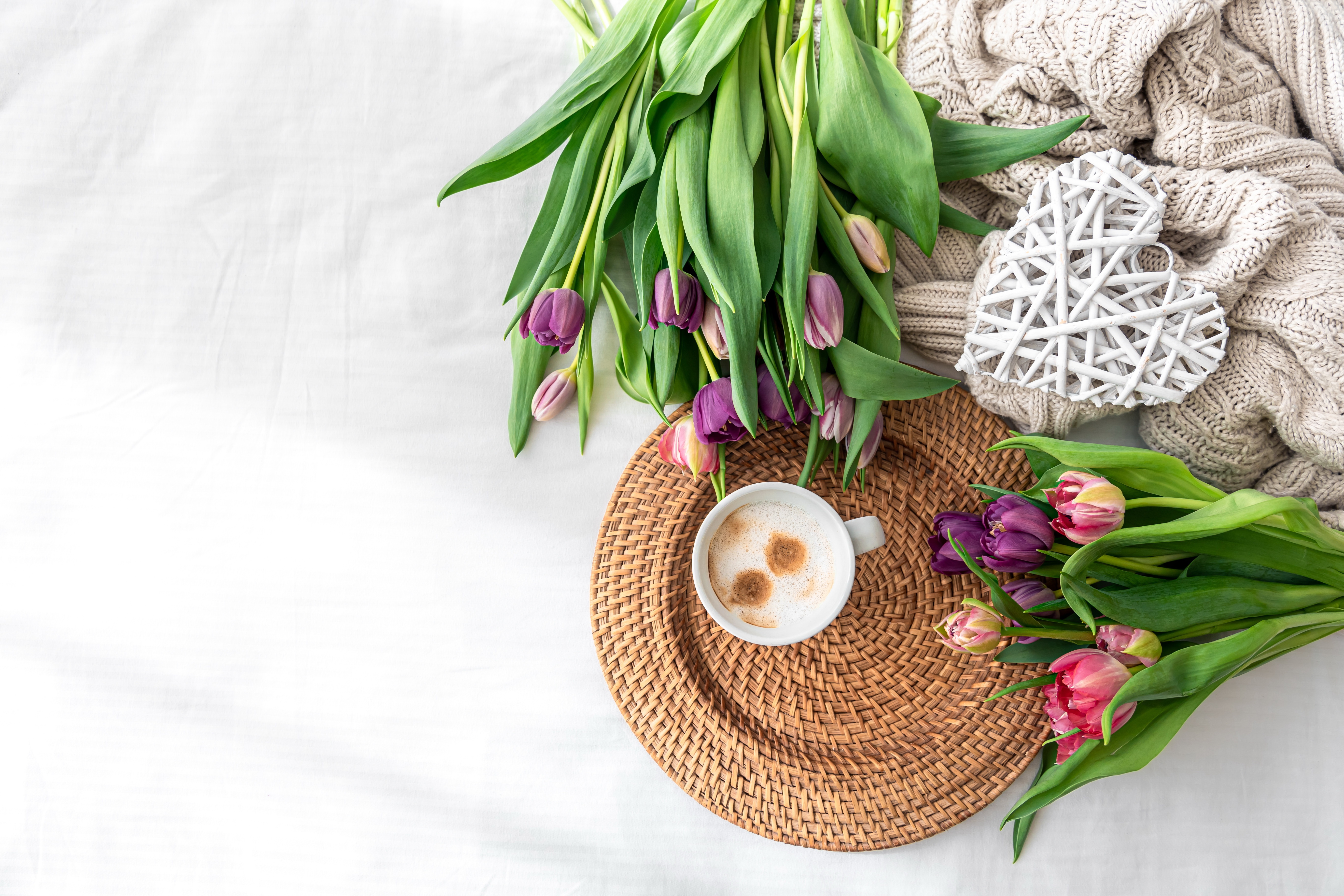Photography Still Life HD Wallpaper | Background Image