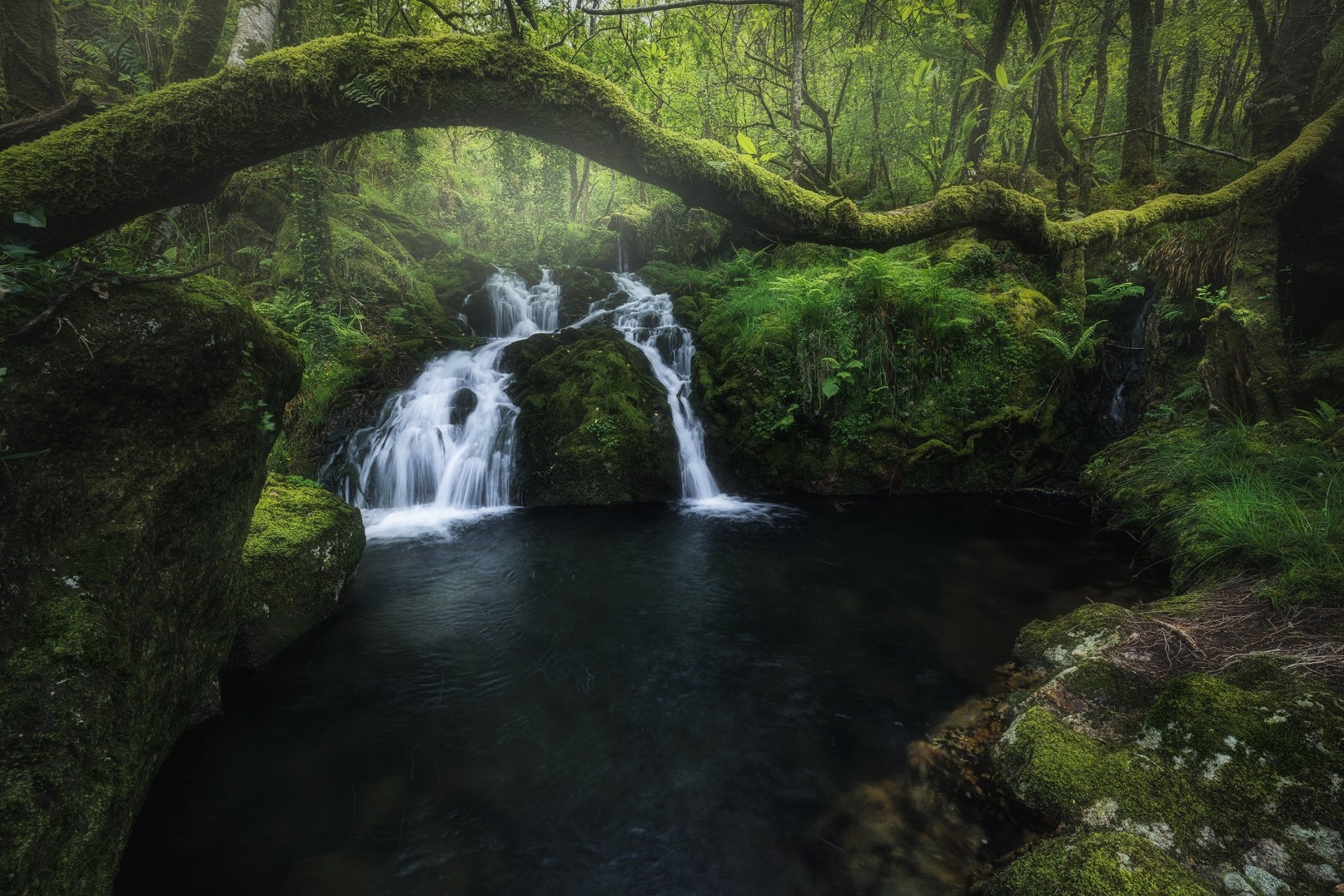 HD PC desktop wallpaper showcasing a serene nature scene with a cascading waterfall surrounded by lush green moss and dense forest.