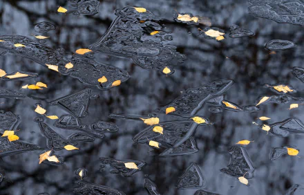 nature ice HD Desktop Wallpaper | Background Image
