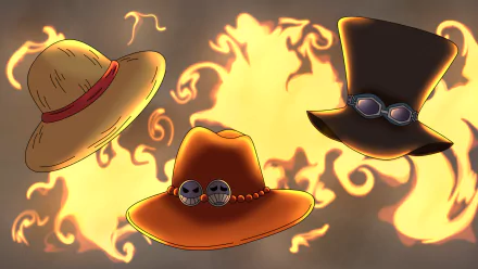  one piece - The three brothers