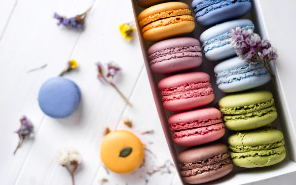 food macaron HD Desktop Wallpaper | Background Image