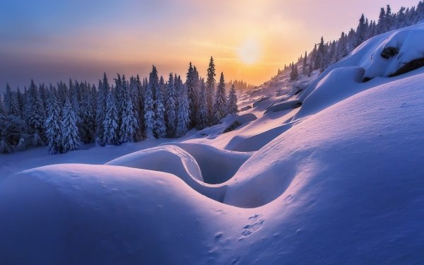 Nature Winter Russia Snow HD Wallpaper | Background Image