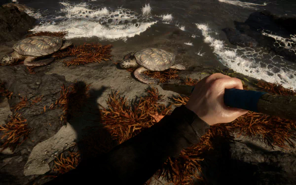 video game Sons of the Forest HD Desktop Wallpaper | Background Image