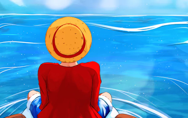  Monkey D. Luffy by Ookamizu