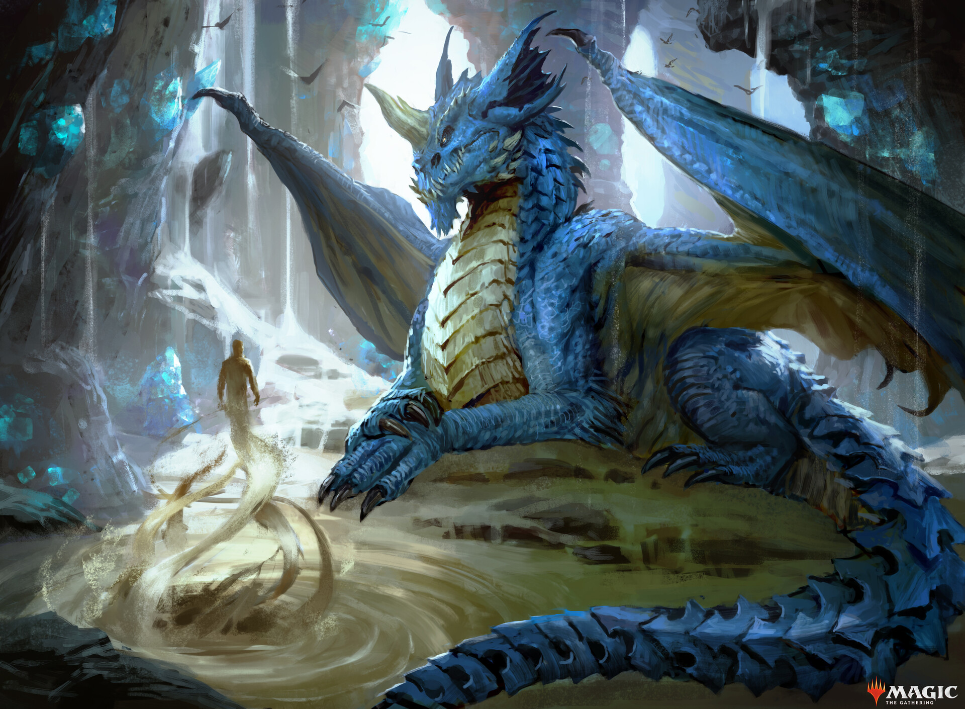 Young Blue Dragon by Duong ct