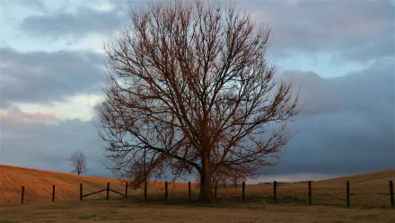  January In Kentucky