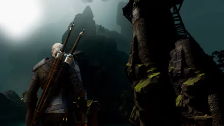 The Witcher video game Witcher Viper HD Desktop Wallpaper | Background Image