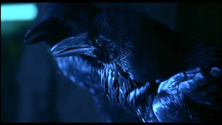 HD PC desktop wallpaper showing a moody close-up of a crow from the movie The Crow, bathed in icy blue light against a dark, shadowy background.