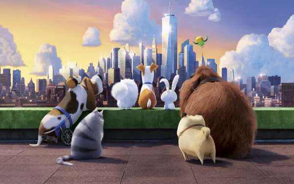 movie The Secret Life of Pets HD Desktop Wallpaper | Background Image