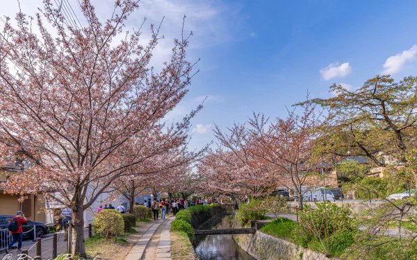 man made Japan HD Desktop Wallpaper | Background Image