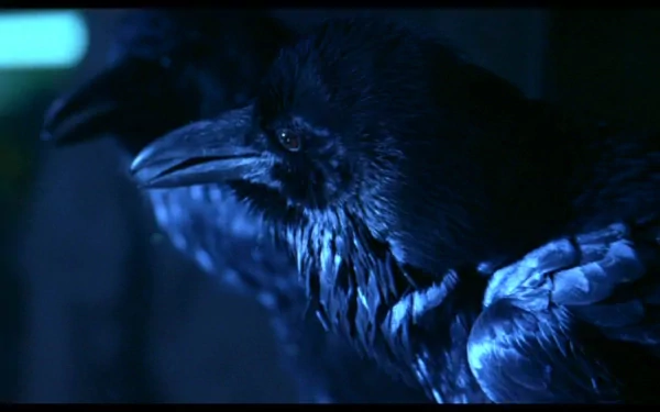 HD PC desktop wallpaper showing a moody close-up of a crow from the movie The Crow, bathed in icy blue light against a dark, shadowy background.