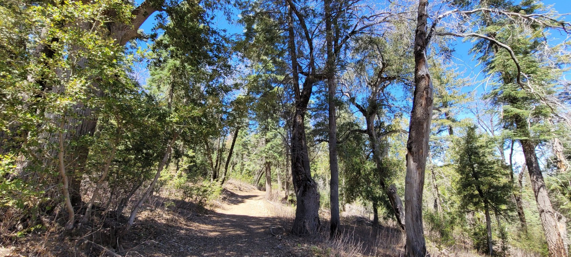 Hiking in Greater San Diego County Landscape Photography by Dr-Pen
