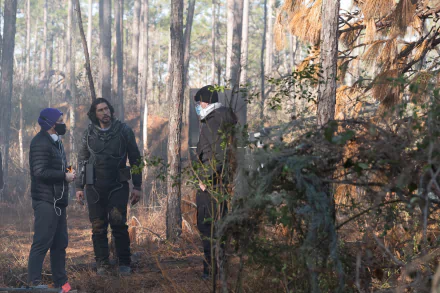 HD desktop wallpaper featuring three people standing in a serene forest with trees and sunlight filtering through the foliage, tagged with number 65.