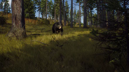 HD desktop wallpaper from 'Way of the Hunter' video game featuring a bear in a sunlit forest.