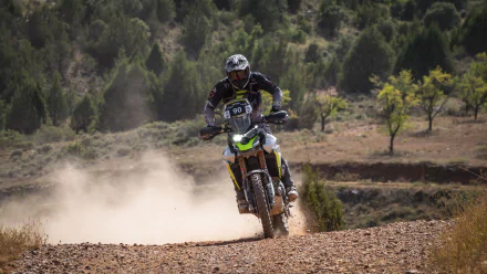A rider maneuvers a Triumph Tiger 900 Rally Pro through a dusty, off-road landscape, showcasing the vehicle's rugged capability in a stunning HD wallpaper.