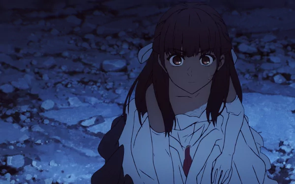 HD desktop wallpaper featuring a character from Fate/strange fake anime, with a dark blue nighttime background and rocky terrain.