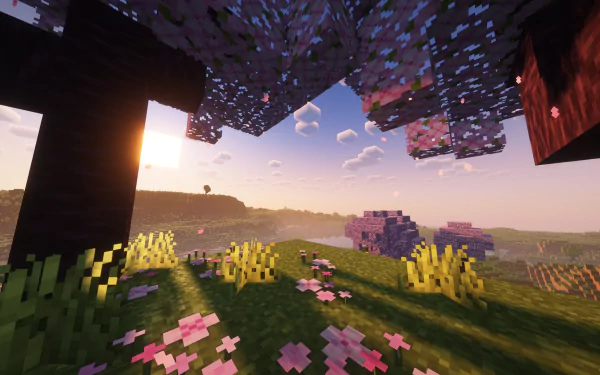 HD Minecraft desktop wallpaper showing a pixelated landscape with grass, flowers, trees, and a setting sun casting warm light across the blocky terrain.