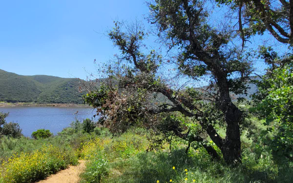  Hiking in Greater San Diego County – Landscape Photography