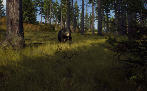 HD desktop wallpaper from 'Way of the Hunter' video game featuring a bear in a sunlit forest.