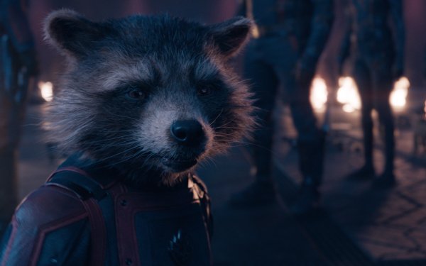 Movie Guardians of the Galaxy Vol. 3 Guardians of the Galaxy Rocket Raccoon HD Wallpaper | Background Image
