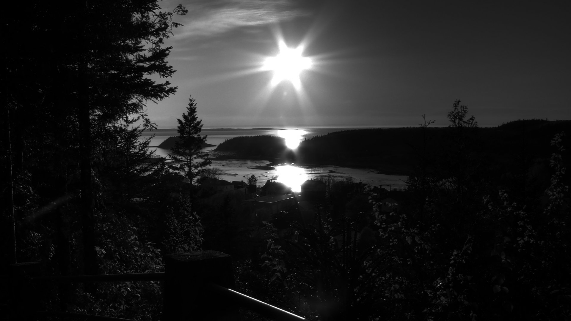 Black and white HDR photography of a serene landscape at sunset, featuring silhouettes of trees and reflections on the water, creating a striking desktop wallpaper.
