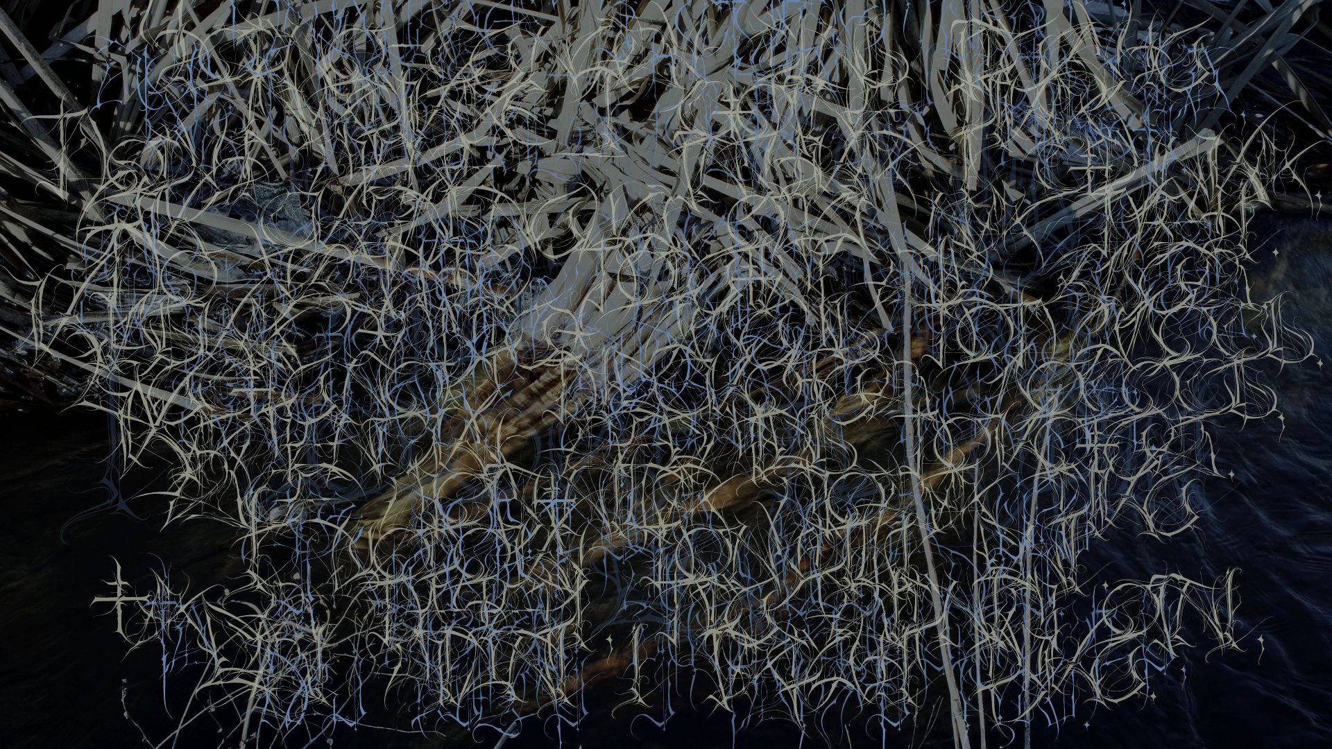 Gnawing On A Black And Blue Pebble by overcast carvers