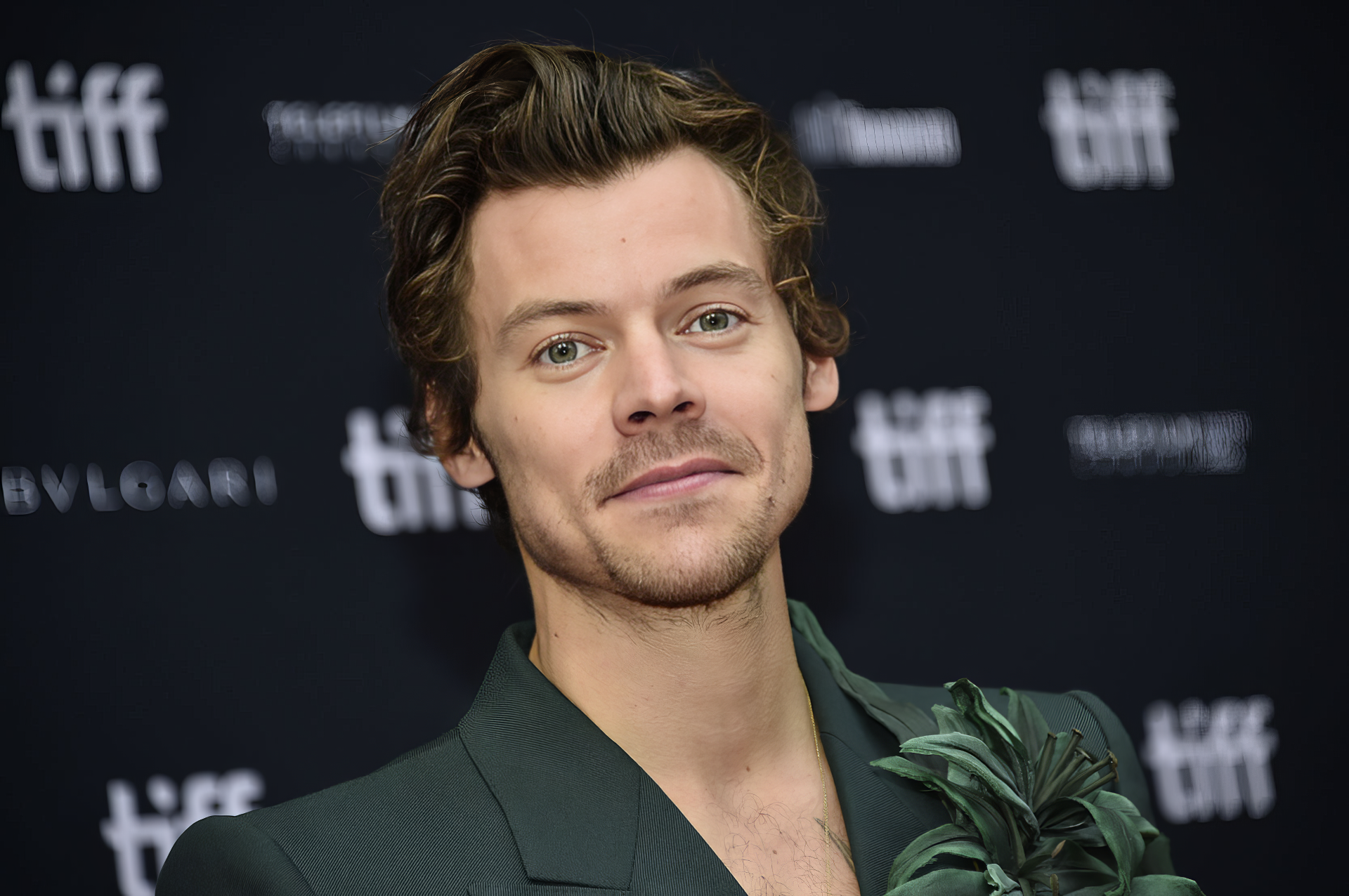 A stylish HD desktop wallpaper featuring Harry Styles at a red carpet event, showcasing his signature charm and fashion sense against a sleek background.