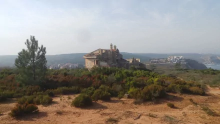  HD Desktop Wallpaper | Background Image