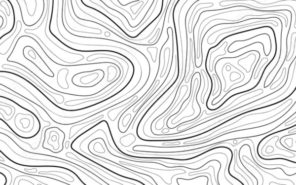  WHITE AND BLACK TOPOGRAPHY DESIGN
