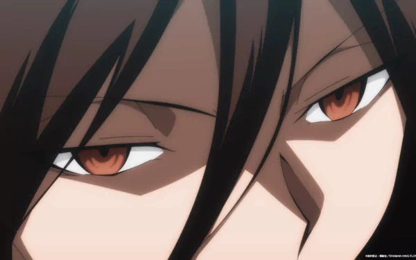 HD anime desktop wallpaper featuring a close-up of a Shaman King Flowers character's intense eyes.