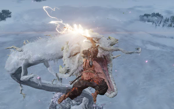  Sekiro: dragon Fight