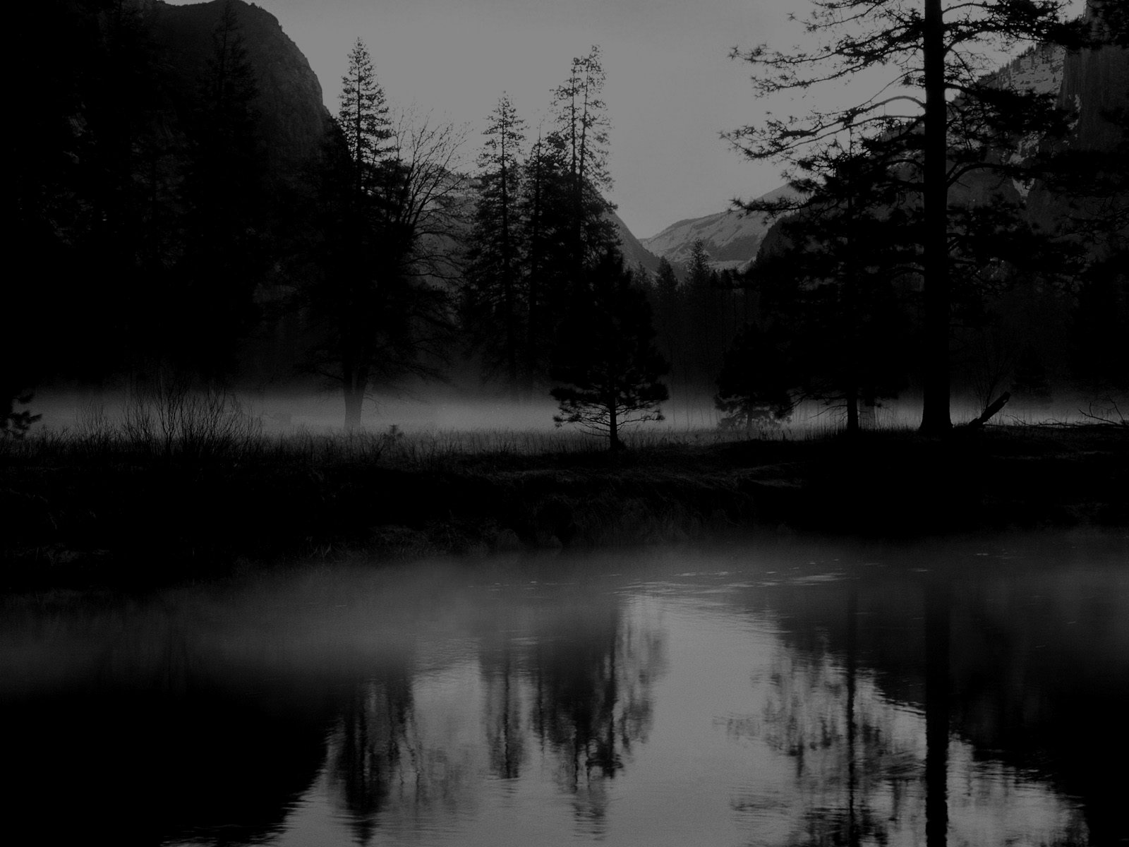 A serene black and white landscape featuring fog-covered trees reflecting in a tranquil body of water, creating a calming natural scene for an HD desktop wallpaper.
