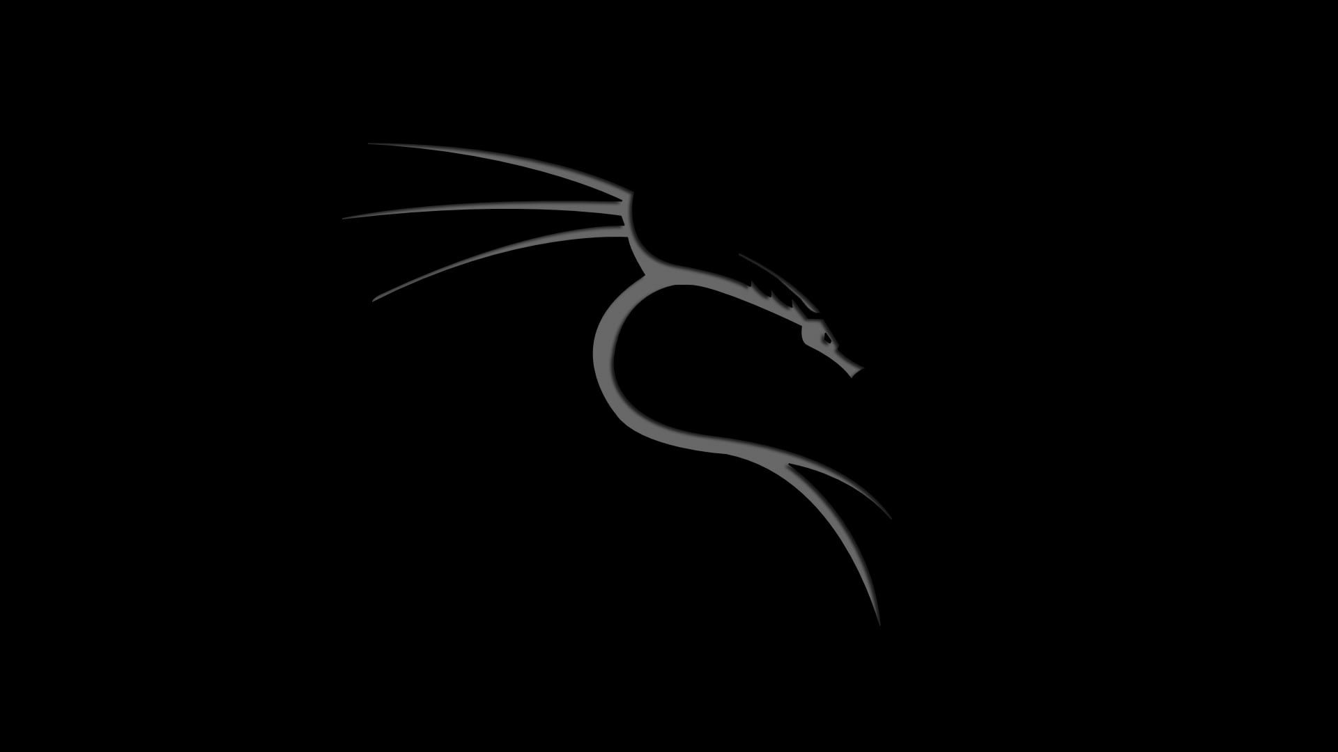 [10+] Kali Linux Wallpapers