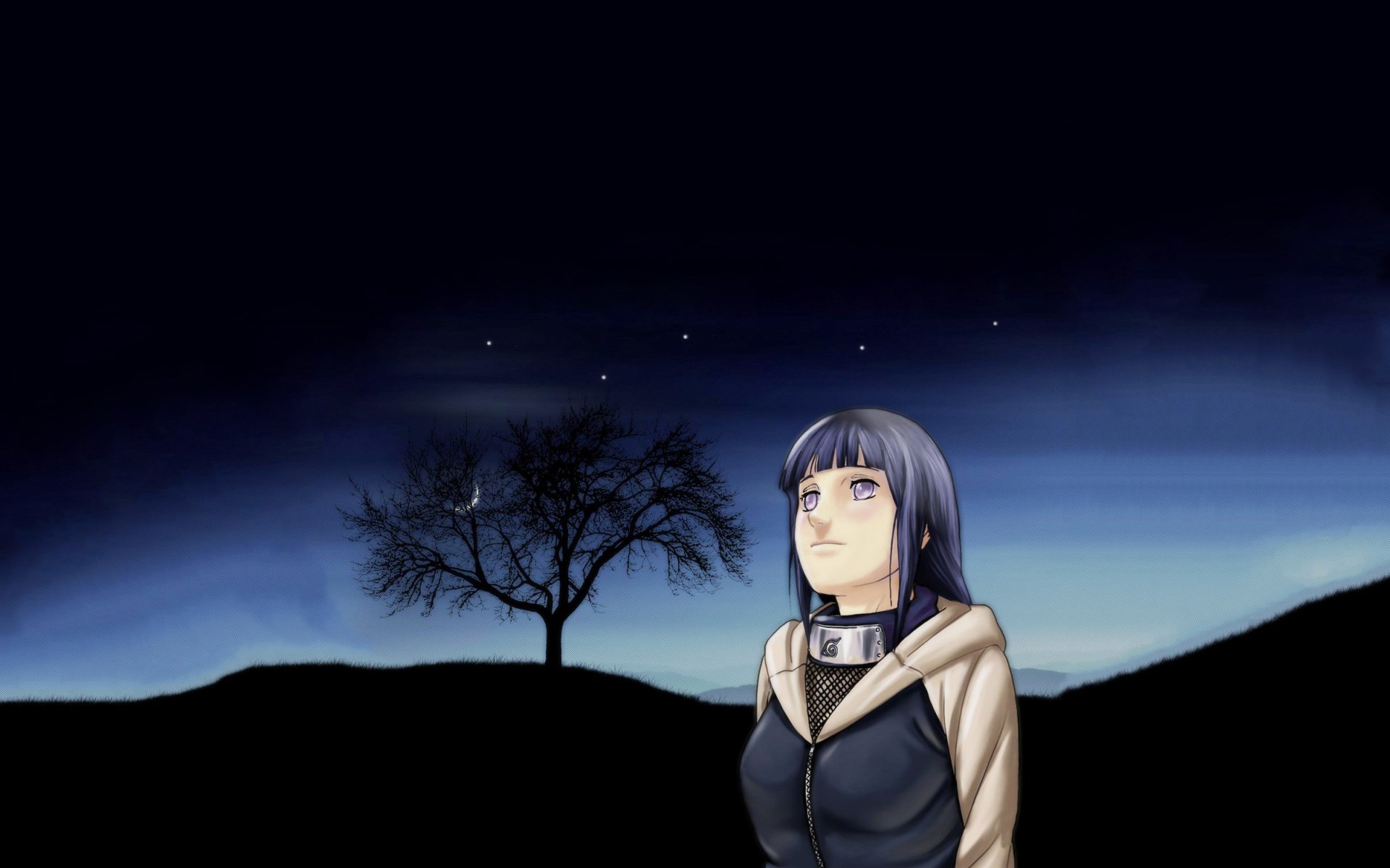 Download Hinata Hyuga Anime Naruto HD Wallpaper