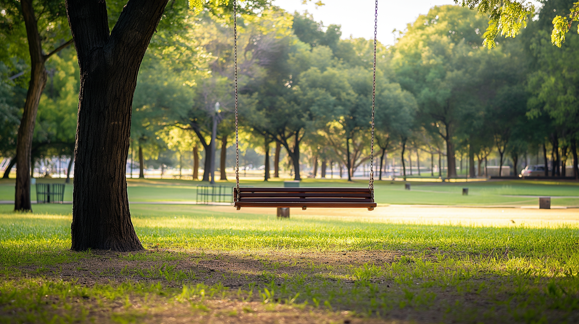 HD desktop wallpaper featuring a peaceful park scene with a tree swing hanging from a sturdy tree on a sunny day.