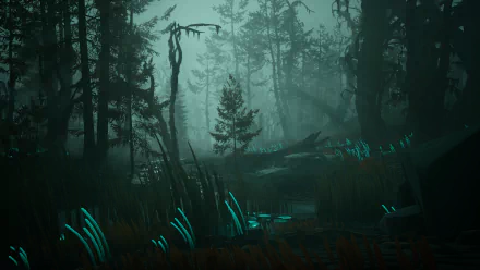 Mysterious forest scene from the video game Pacific Drive, featuring fog-shrouded trees and glowing turquoise plants, creating an eerie and immersive atmosphere. HD desktop wallpaper.