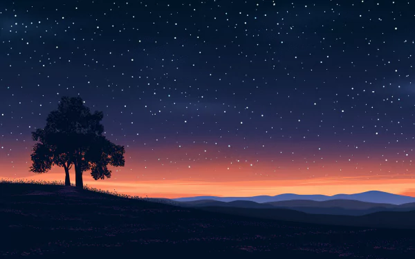 Starry night sky over silhouette of tree with gradient sunset colors, HD desktop wallpaper and background.