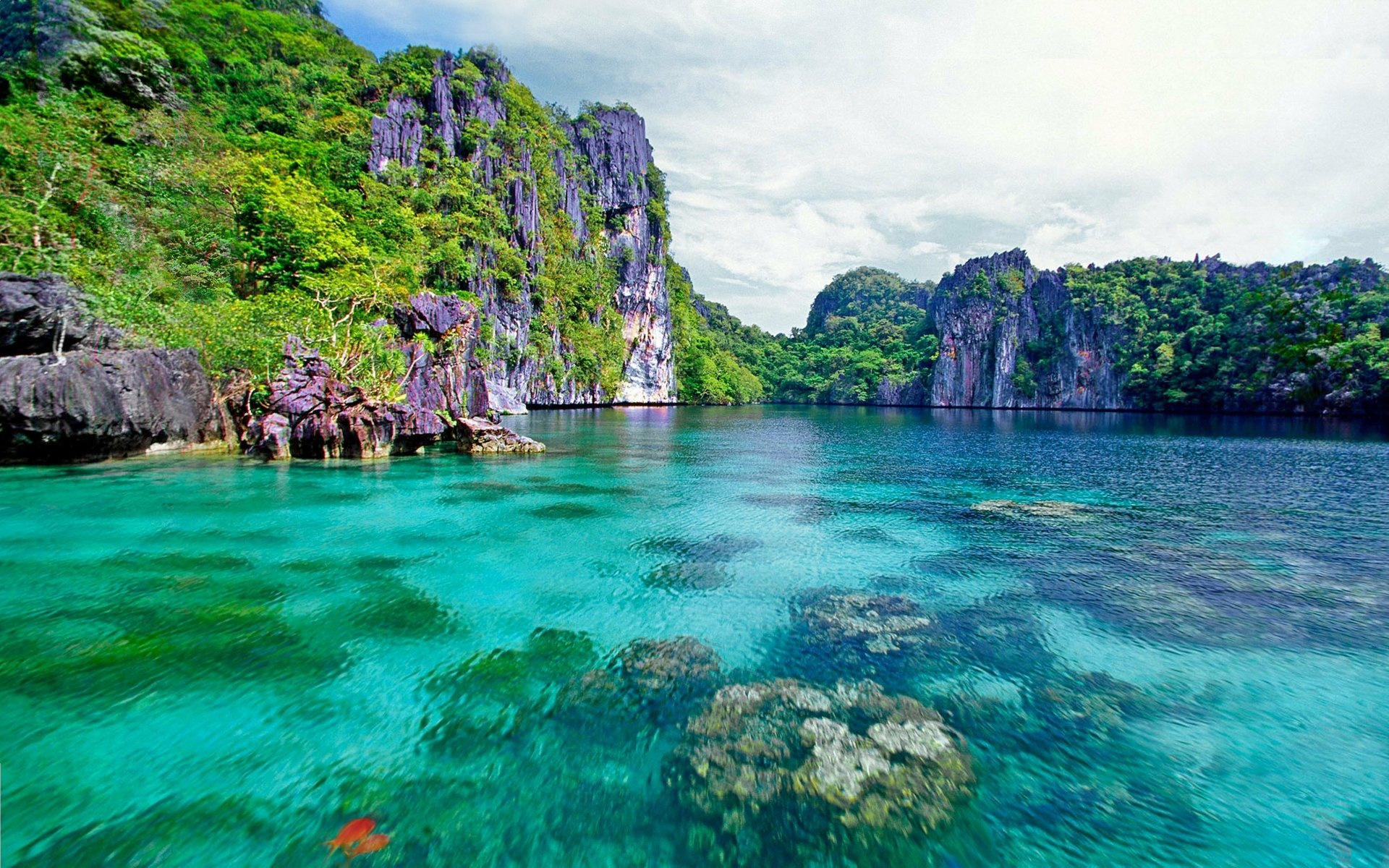 Download Noon Tropical Lagoon Philippines 8k Ultra HD Wallpaper