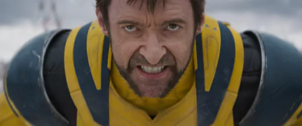 HD wallpaper featuring Hugh Jackman as Wolverine, intensely staring into the camera, wearing his iconic yellow X-Men suit; a perfect background for fans of the Deadpool & Wolverine movies.