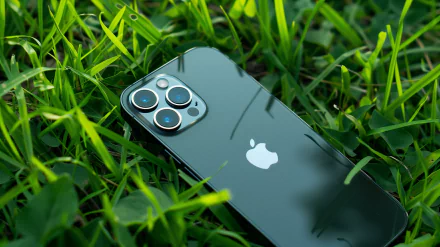HD desktop wallpaper featuring an Apple iPhone with three cameras, placed on a lush green grass background, showcasing the device’s sleek design and technology.